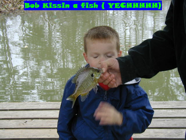 Bob 